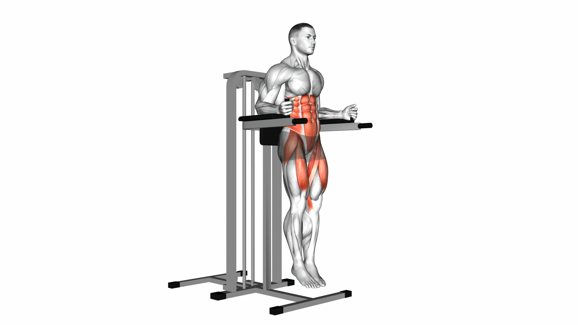 Vertical Leg Raise (on parallel bars) demo