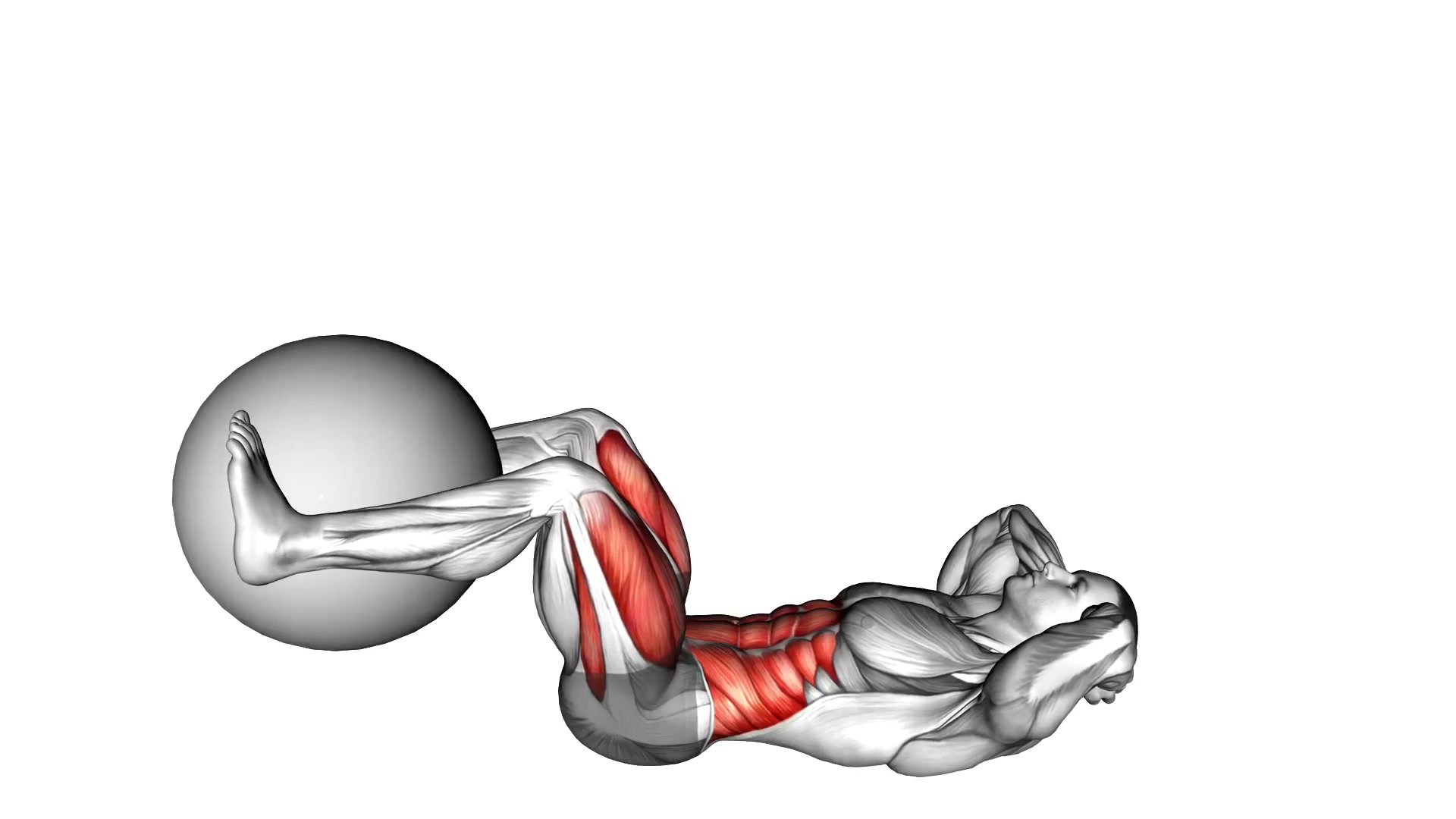 Weighted Leg Extension Crunch demo