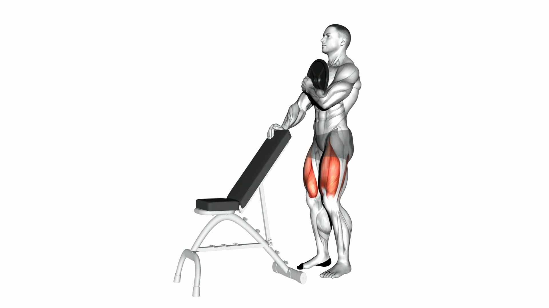 Weighted Sissy Squat demo